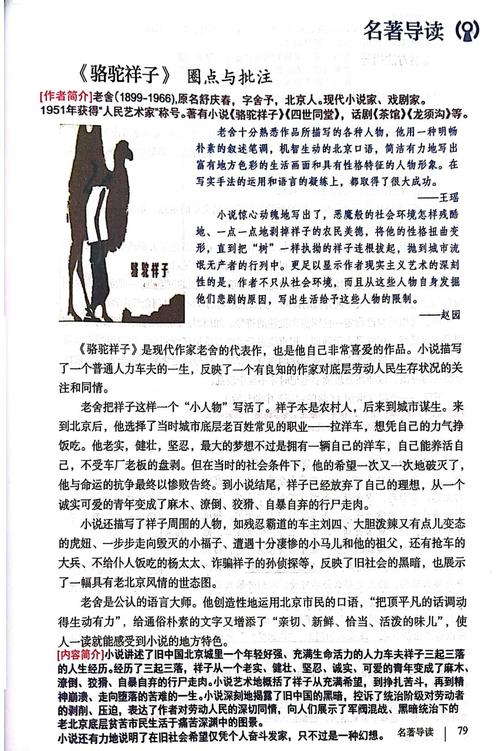 皮皮老师讲解骆驼祥子图标