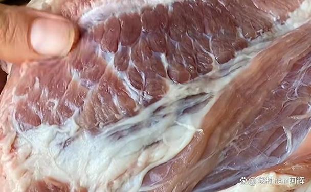 买回来的新鲜肉怎么保存