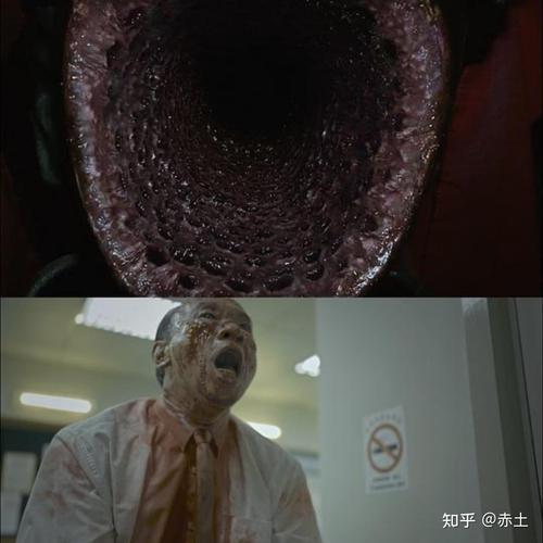 鬼女魔咒之钢的真面目