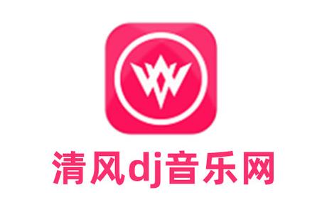 dj清风网抖音串烧2019截图