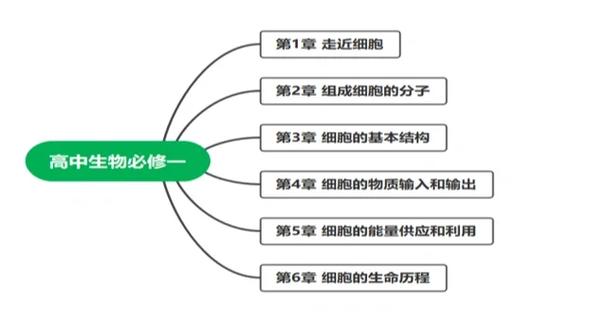 高中生物和政治哪个难度大