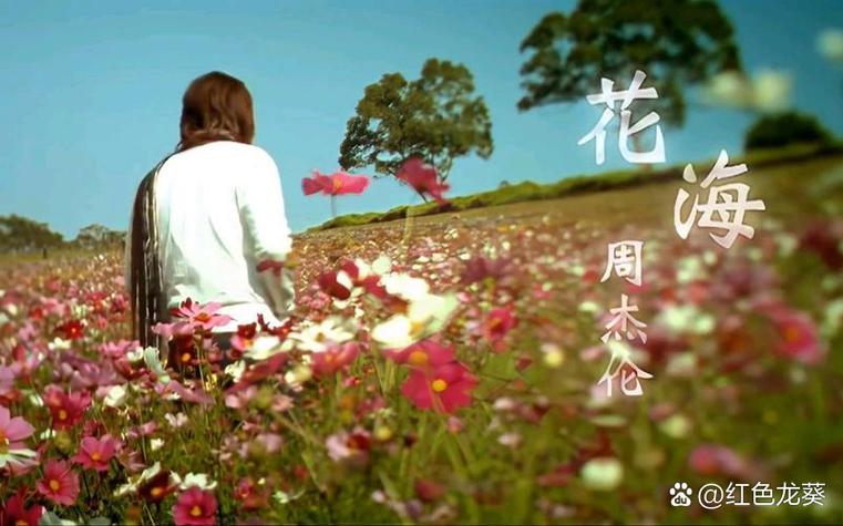 周杰伦《花海》mp3图标