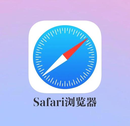 自带flash插件的浏览器
