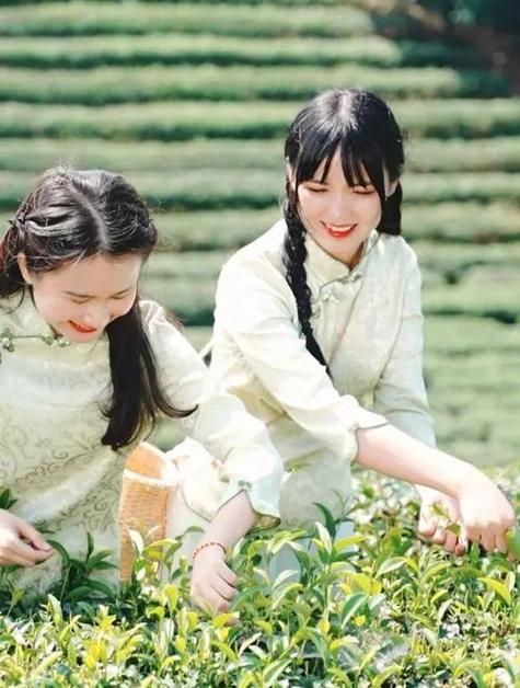 长沙品茶v信