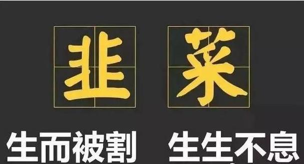 韭菜平台