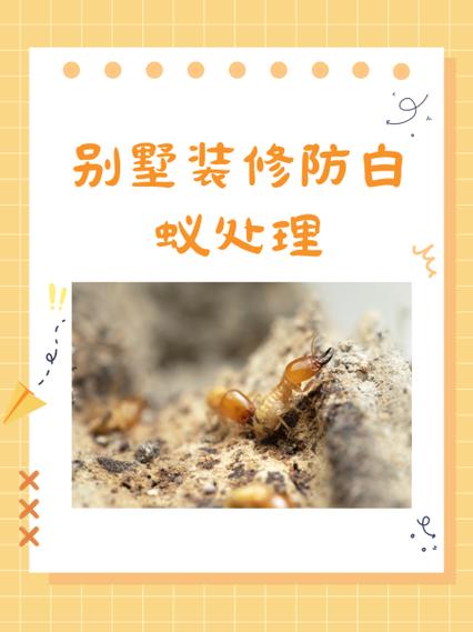 墙里面有白蚁怎么处理