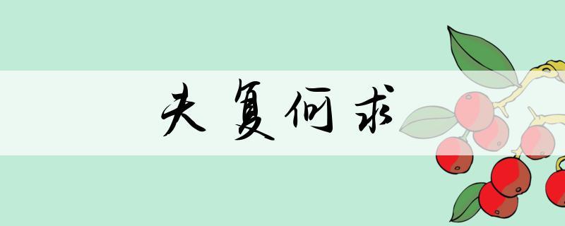 夫的成语
