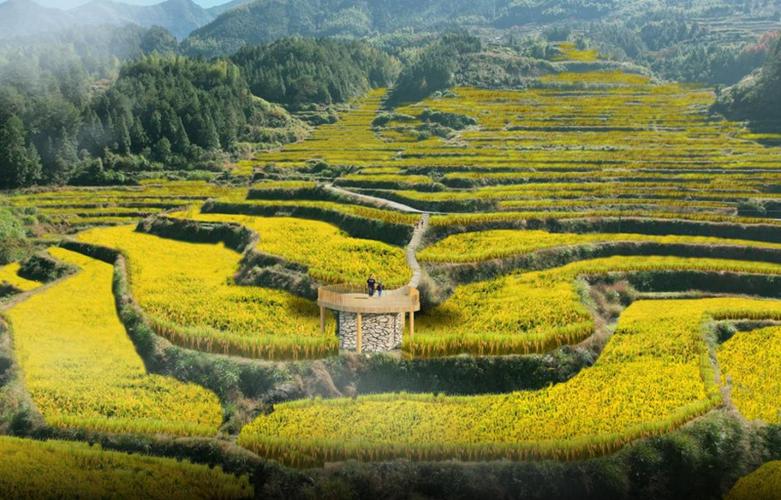 相约最美乡村缩略图