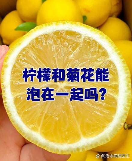 柠檬片配菊花的效果