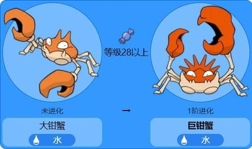 口袋妖怪舍身冲撞