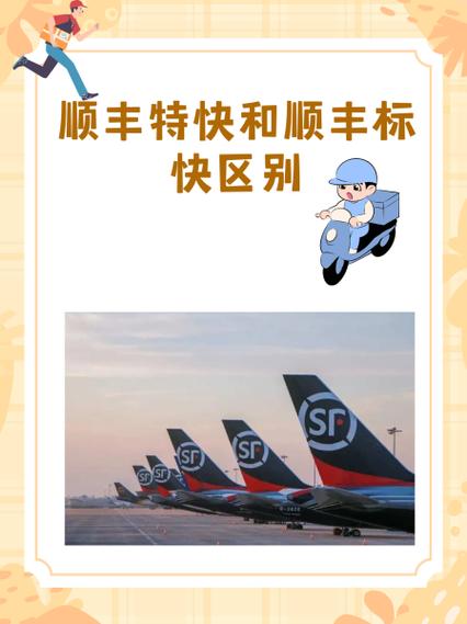 顺丰标快会上飞机吗