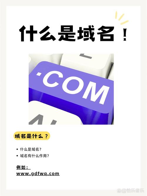 cilipa域名