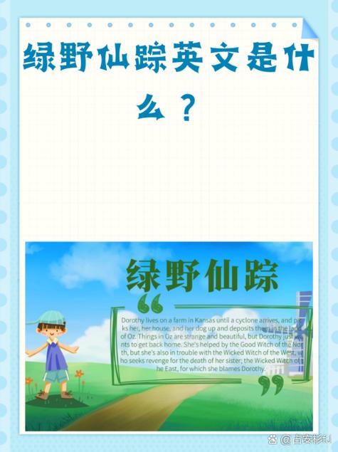 wizard 翻译