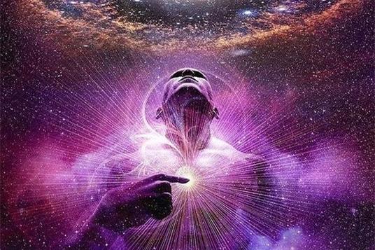 能量流动的方向和能量流动的途径的缩略图