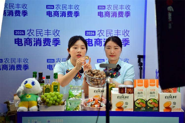 怎样进入电商销售农产品