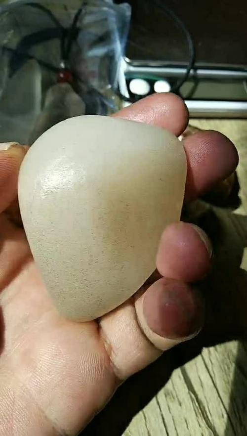 石英岩玉极品图片