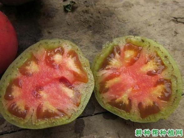 碰了腐烂的水果