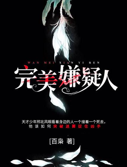 完美嫌疑人讲的是