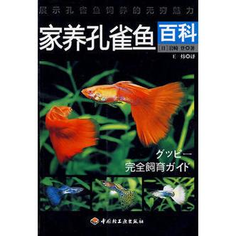 孔雀鱼成体多大