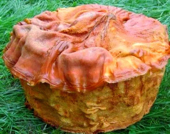 犯太岁是什么意思?
