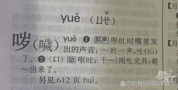 载体的拼音截图