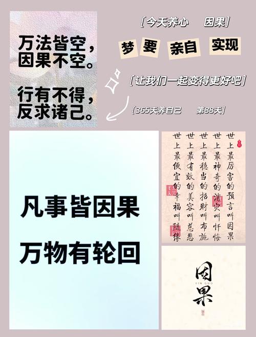 马云的因果报应来了
