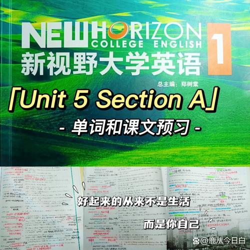 新视野unipus学号登录