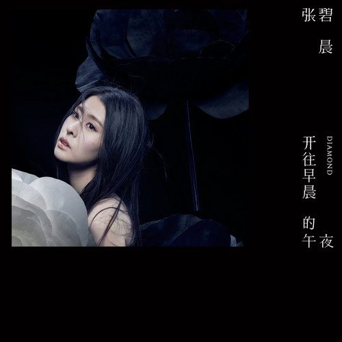 个人出专辑
