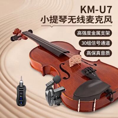 小提琴扩音器牌子最好