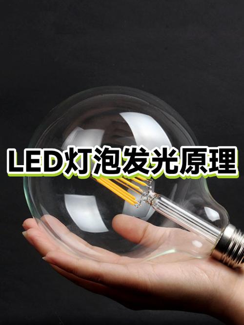 灯泡发光的能量转化图标