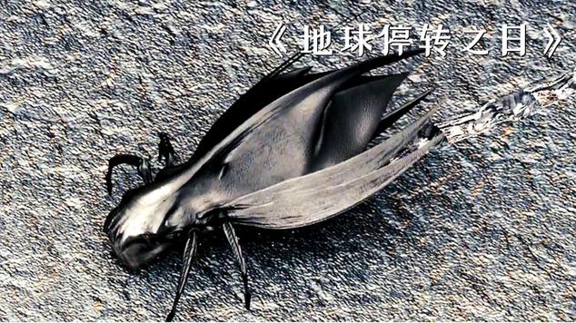 外星昆虫入侵的电影图标