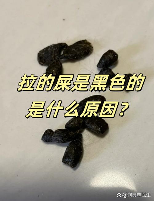 黑便拉了七天后来正常了