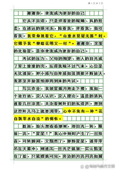2019中考满分作文记叙文游戏截图