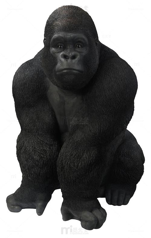 black monkey游戏图标