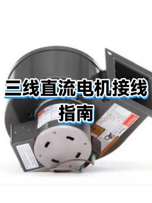 直流电机为啥是三根线