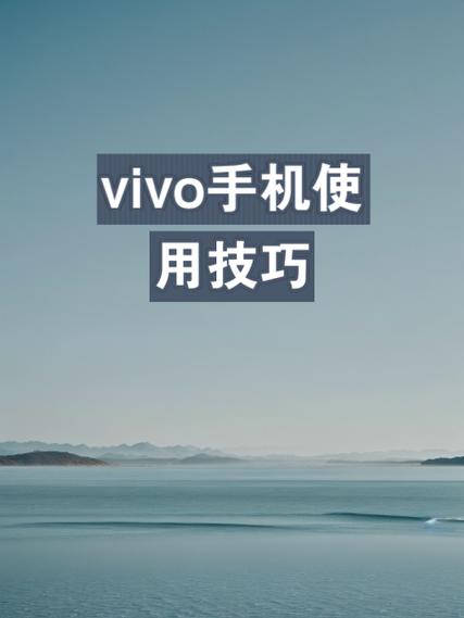 vivo手机使用方法图标