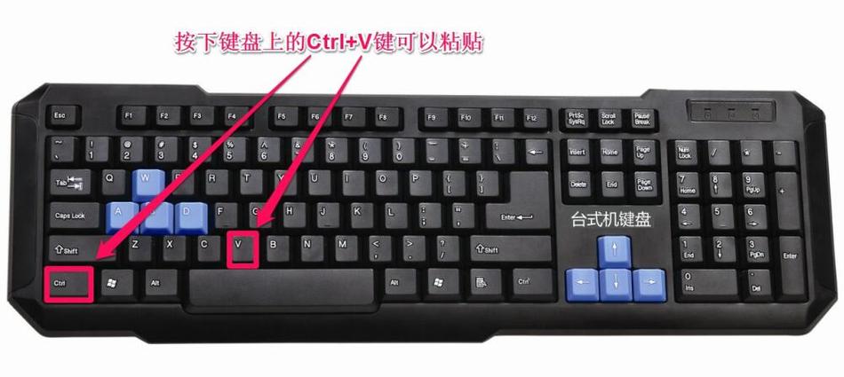 电脑粘贴按键是哪个
