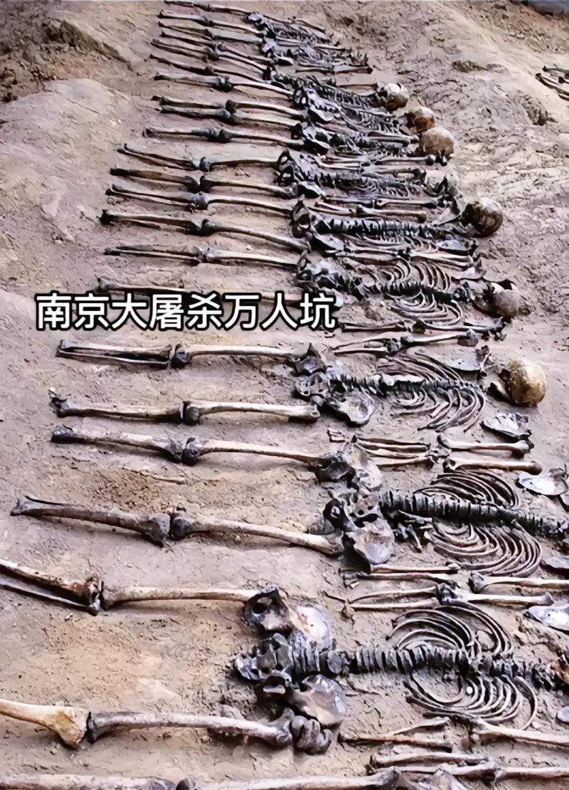 南京地下会有尸骨吗截图