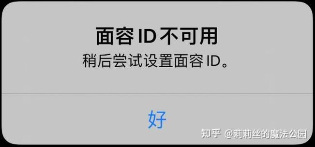 苹果换屏幕后面容ID不可用了缩略图