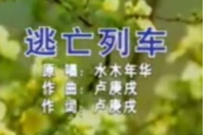 逃亡列车电影日本免费观看截图