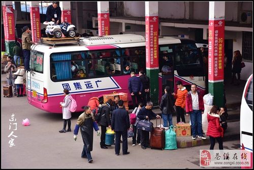 苍溪广运神马