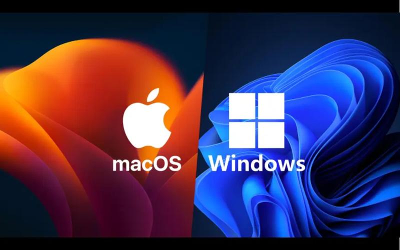 Windows/macOS