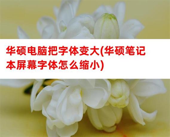 笔记本电脑放大字体
