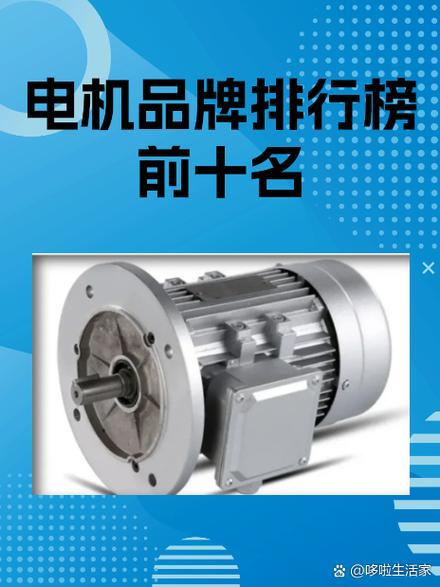 国内十大名牌电机排名游戏截图