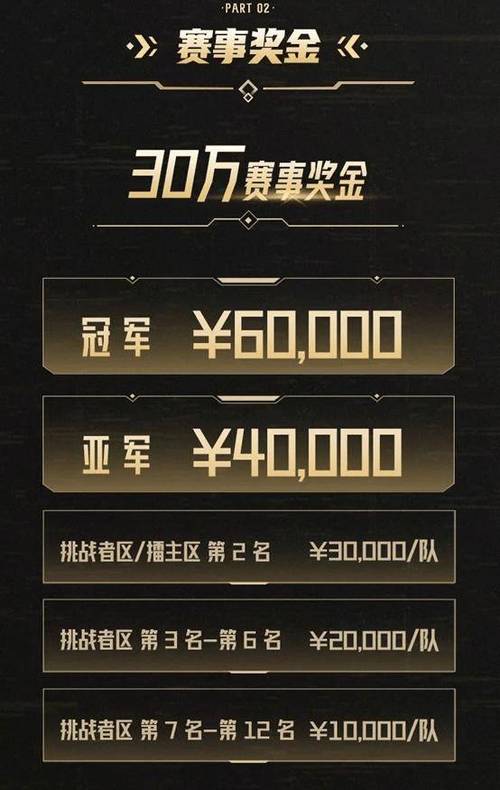 网上什么比赛有奖金