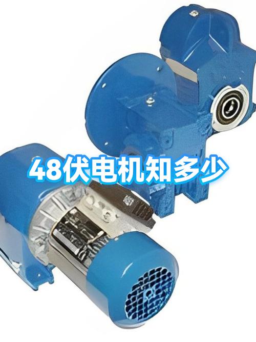 12一48伏小型电机