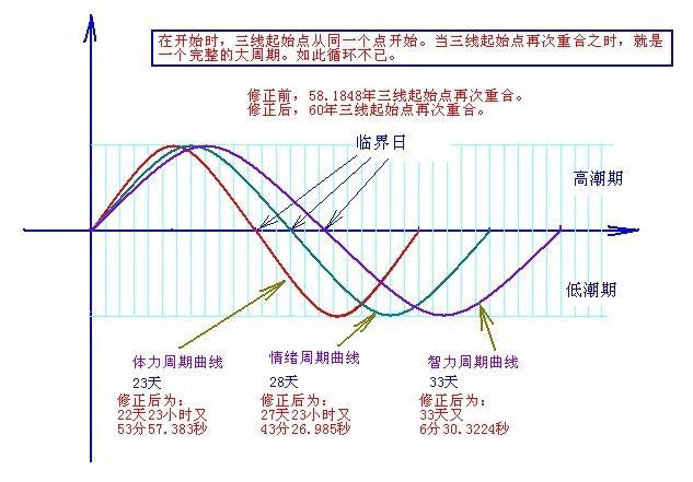 生物节律曲线截图