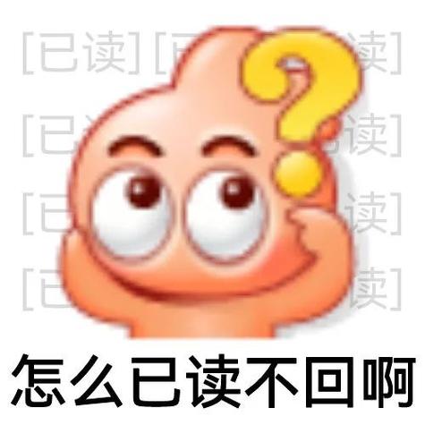 怎么知道别人已读不回