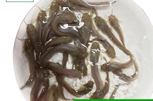 银行卡什么尾号比较好图标