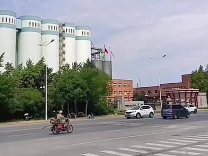 麦芽数据属于哪家公司
